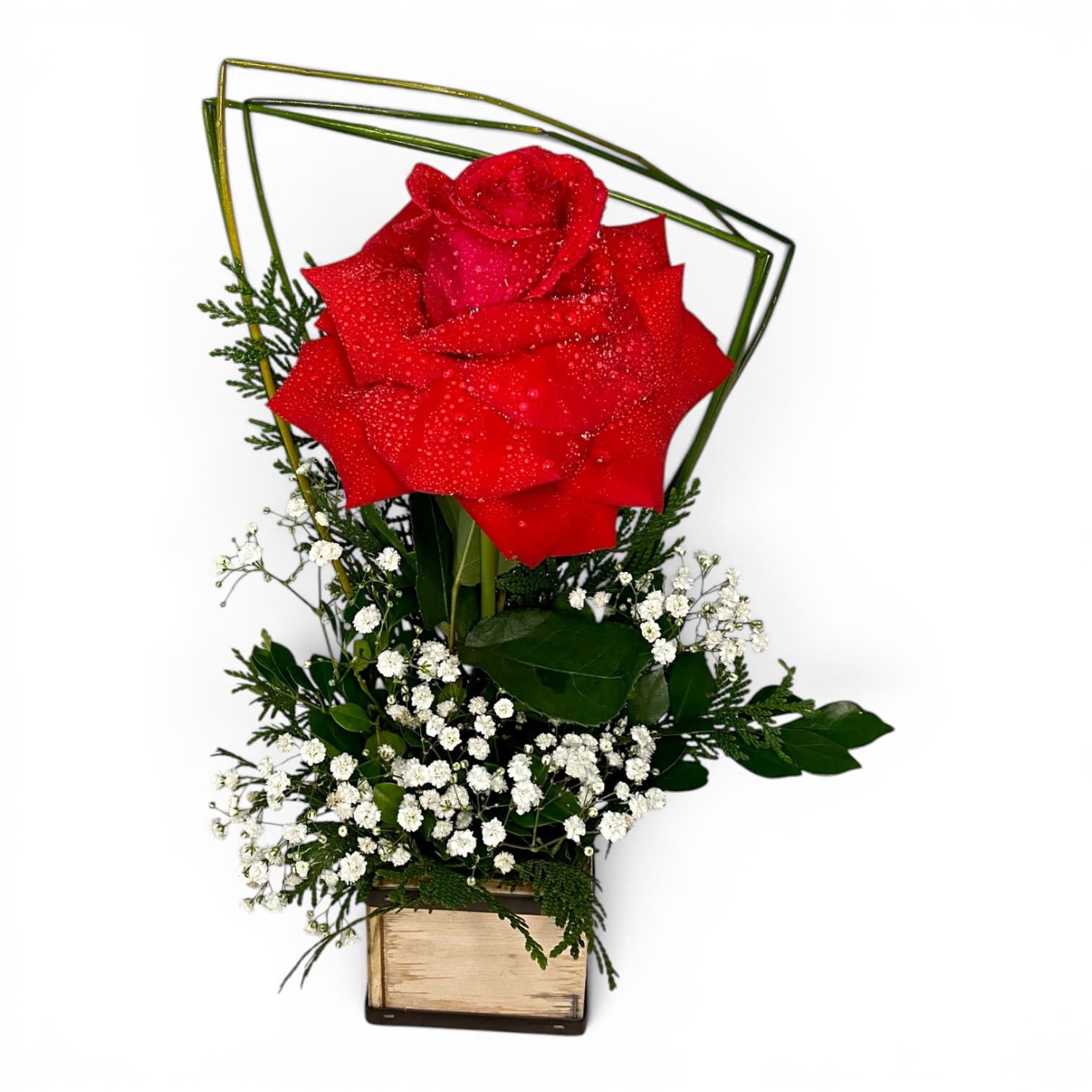 cachepot-rosa-colombiana-vermelha-flora-santa-clara.jpg Cachepot de Rosa Colombiana Vermelha com chuva de prata e folhagens