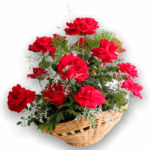 Arranjo Miss de Rosas Colombianas Vermelhas