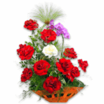 Arranjo Imperial Colombiano