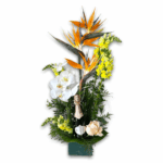 Arranjo Baby Tropical