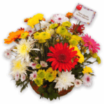 Arranjo Amizade Especial