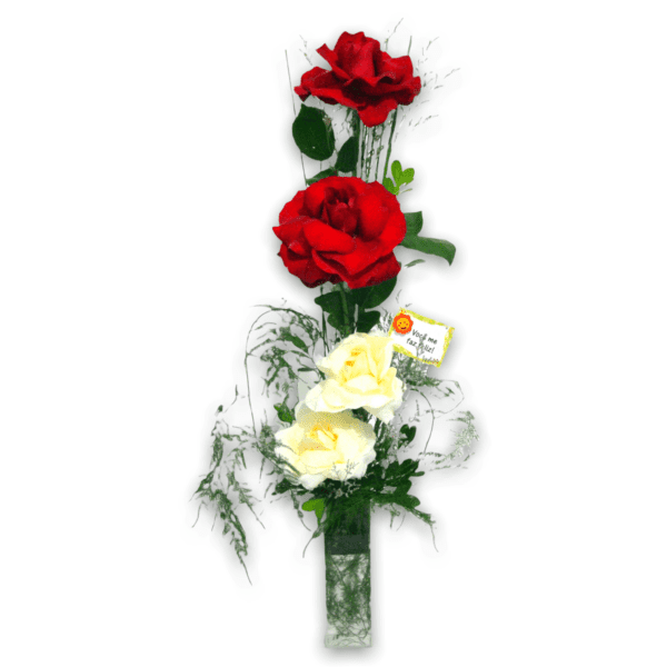 Rosa Colombiana - Oferta de Arranjo de Rosa Vermelha e Mais