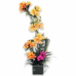 Mimo de Astromélias