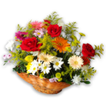 Cesta Miss Standard de Flores do Campo