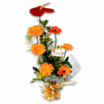 Arranjo de Gérberas e Antúrio