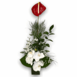 Arranjo Sonho Tropical