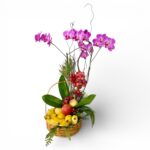 Planta de Orquídea e Frutas