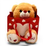 Urso de pelúcia Amor com sacola decorativa vermelha