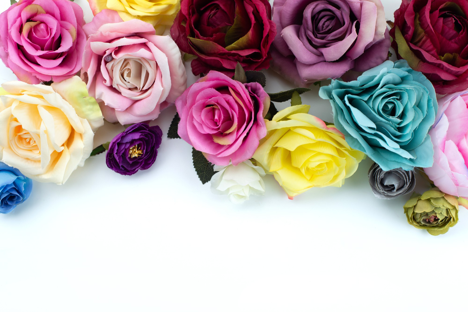 As cores das Rosas e os seus significados